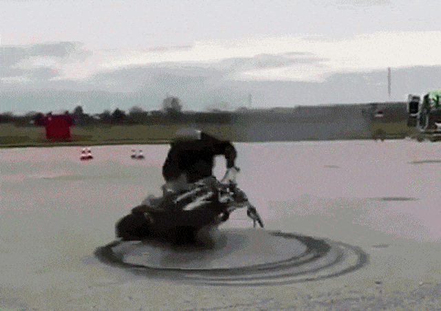 gifs_08.gif
