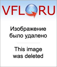 12794774.jpg