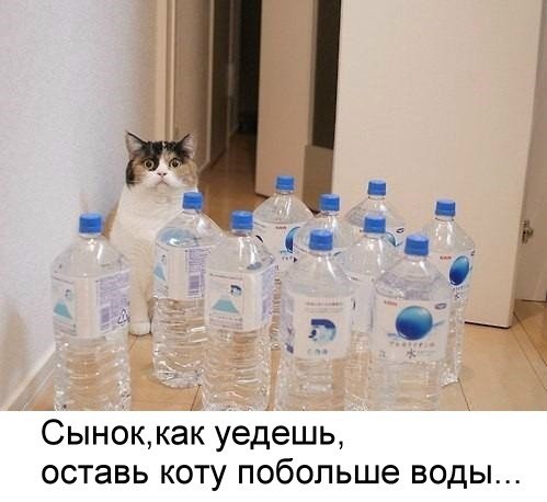 3560460.jpg
