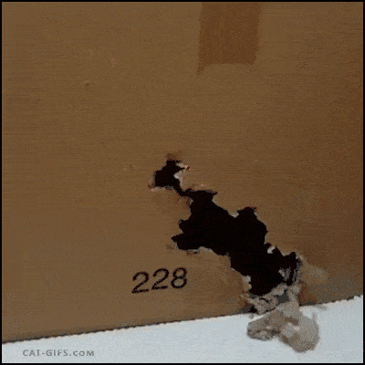 01_9.gif