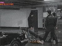 3e73dd50f18e6cd276a03f57e6d55eb7.gif