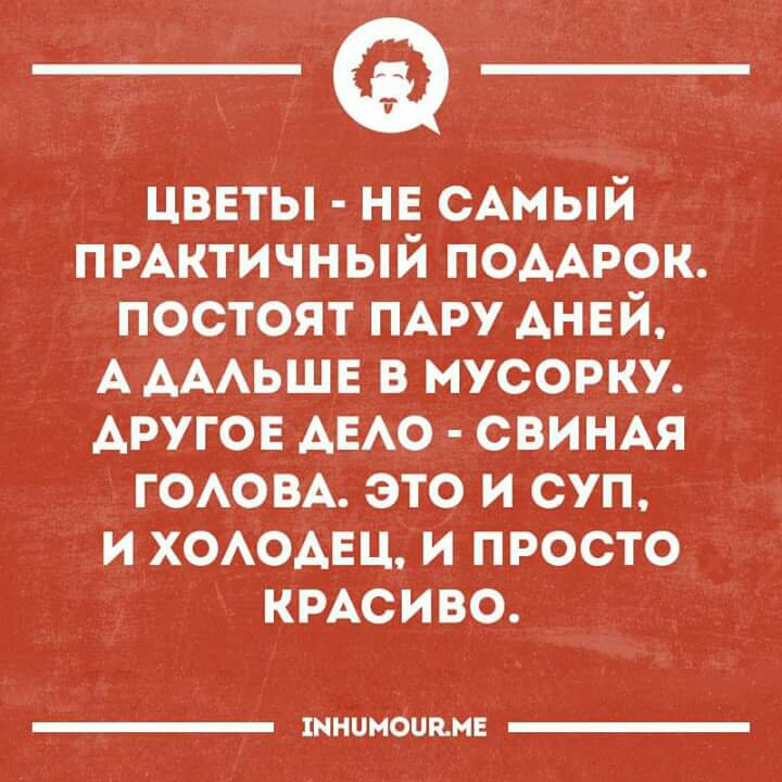 7807c1cd7b6769e6bf7ee31721ddc4ae.jpg