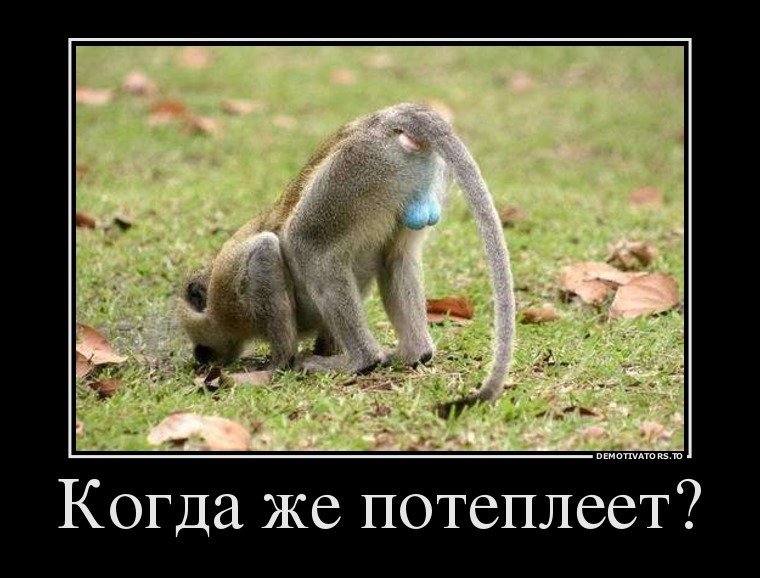 1459409324_demotivatory-14.jpg