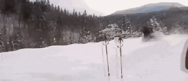 eaeD4pF.gif