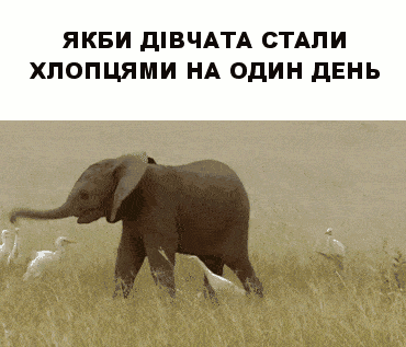 l41lNAJvFyDtOQTiE.gif