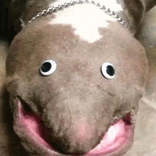 1421732884_1216998680.gif