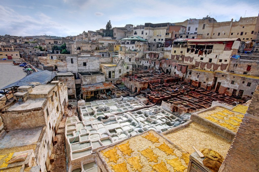 fes_75.jpg