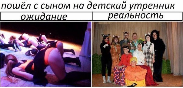 5254451.jpg