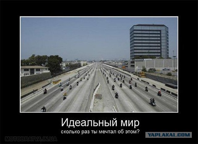 491160.jpg