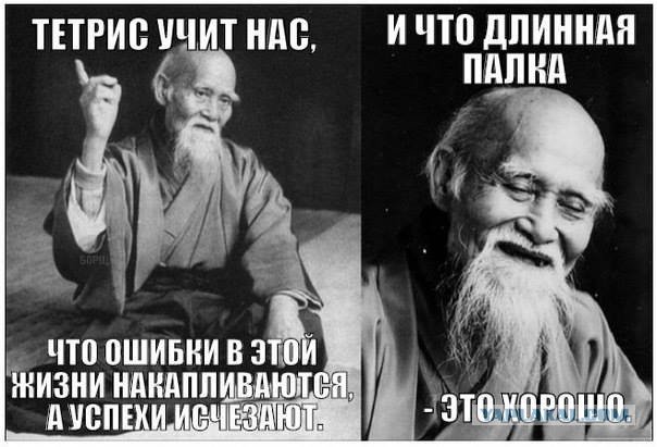 4383742.jpg