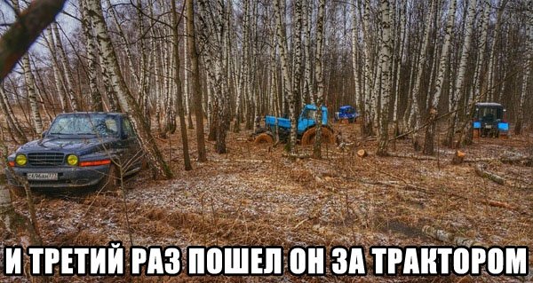 41dfe043ad1104a0f9864cf2ec32499d.jpg