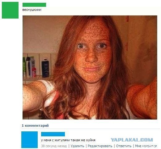 2676393.jpg