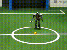 5941668_original.gif