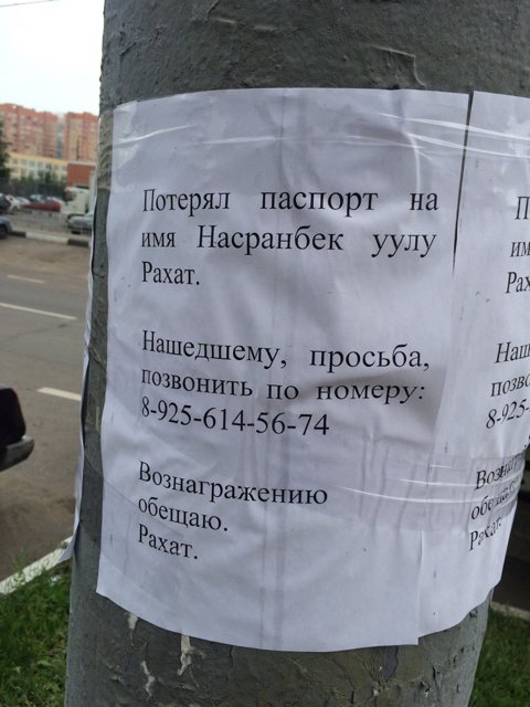 b00be285205ce306da5687a2c8f16b03.jpg