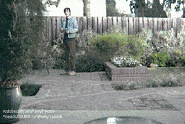2_2.gif