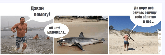 56d8332c6bfcd_Screenshot_46.png