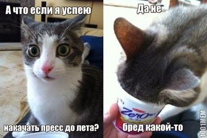 254129_original.jpg