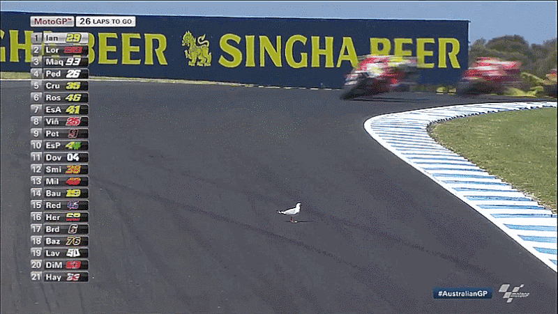 a3d3deb6ebba2e82de98739fe4e1e302.gif