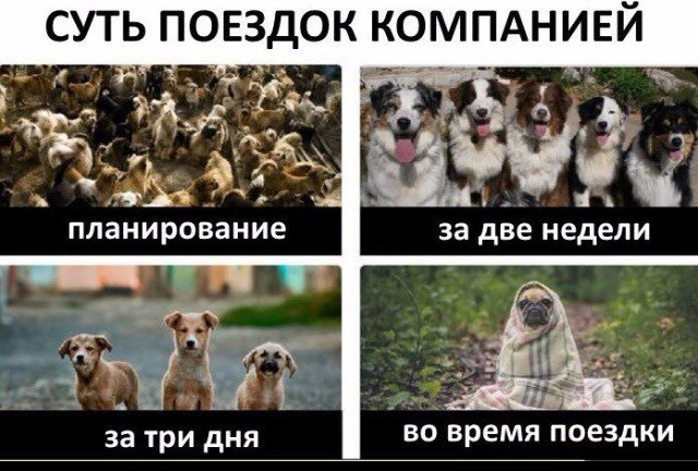 f49353b4d88e4b43945e990bffc37df7.jpg
