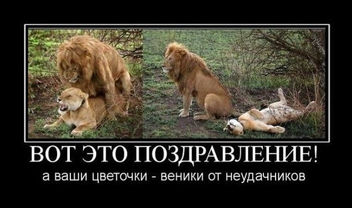 56de93348c2ef_1c72b46s960.jpg