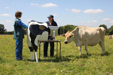 1257700680_robot_cow_1.jpg