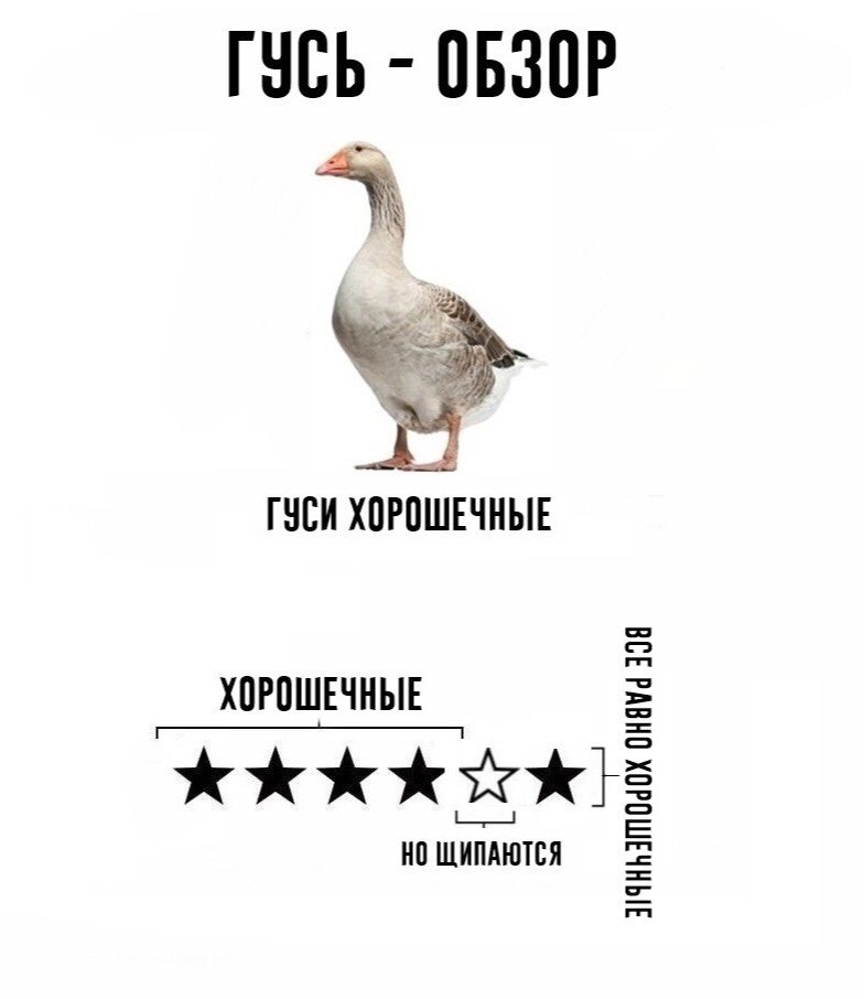 8b644a5ec5d46f20cf3d52bf531ea2af.jpg