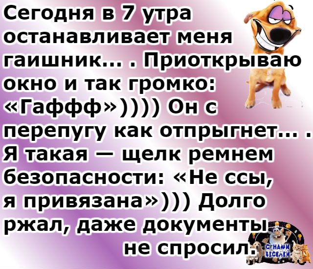 0-image%20-%20004.jpg