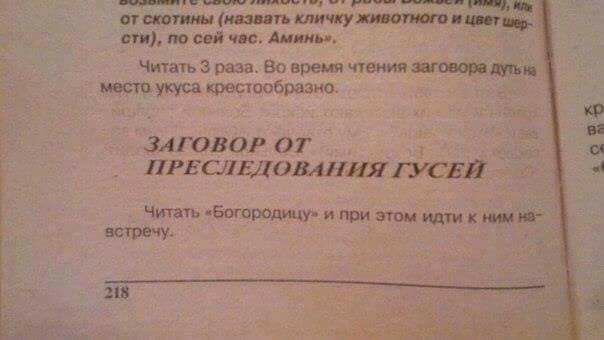 d5f6dc62c86b35f9a62e6606b844be59.jpg