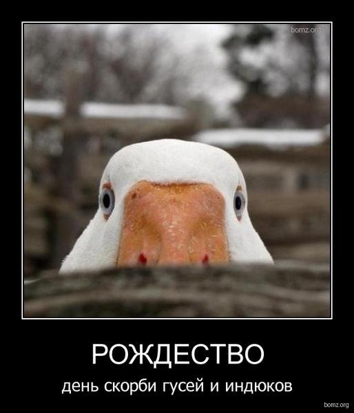 yteny6et.jpg