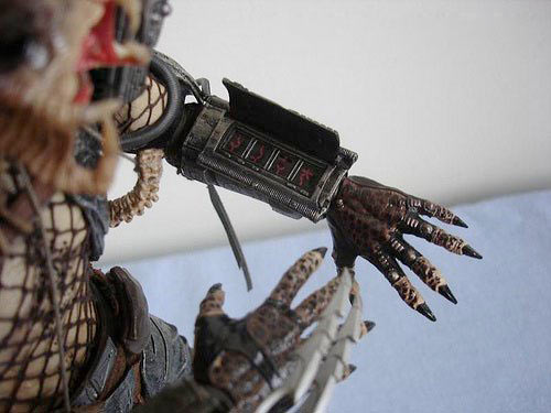 predator.jpg