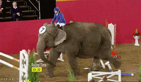 0_15c874_84516eea_L.gif