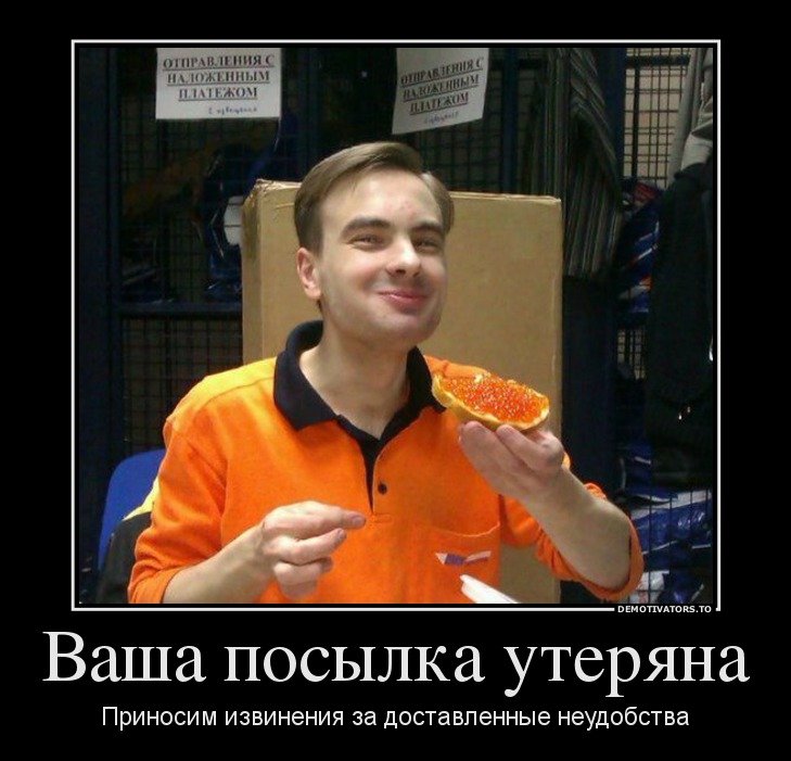 530_900.jpg