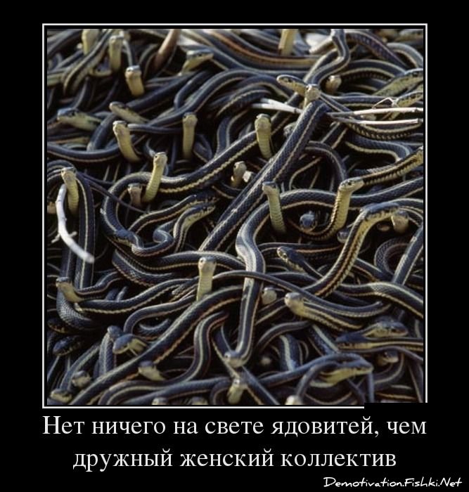 demotivator-0072.jpg