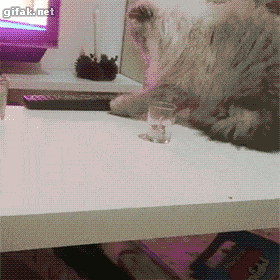 lihw9zT.gif