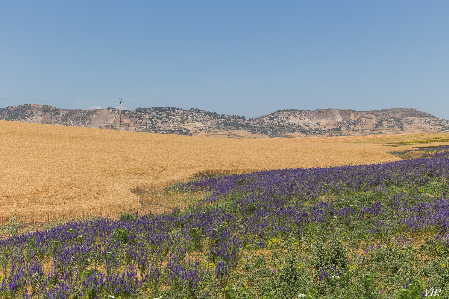 1M2Wp7P8T_IfS1TUWX8OCLIjxVwliFXiK6WtIVCp_LVdLhZGRjvQJhPbvQOD5fLrePRDl7AU38RQsrjervh0OD-sbpeWP4fX9nKthOdQLCC71DAxtnsDsWwnXuOTRx_GllBvABCM5Im9S-KrL2yyjq6CuHIjUoNlK6P12TL7MC4bGRpncN7ZOX_60yBSjbYAaFt2z69PLolgy70ifs--BCeylCkSlsntFT3irkwrYU7AYXe76MgdGgd8kUIdxkUHm_xHuXh2odRNd9BHVVMxZP76WPcupUf7Yn3oVmQd9zckDXwK7_a0lUbpgvJU59euskW_LjYtQOcUBhwDhyqt6o_ODwebNlviIPI2Xm4aeUoLXzkA6uqieNsCEu8ZZOt6ycicORcyIN3mMCvqZwgnvzdhfW0n4t7A8RVeHmB7h_G3-APoGblxjO8sFsUii4hXKQA-NZb1KOtmax_pz7UXEhnI0i49Wt-U-pJr3oWDhRuE_jGW87-bvv7aEk6PGC1F2miwx_Ir0v9ByDHAottNu9jAr-B-5Q1GofNyvTHc0QFYcmC9peSGmS1mDVTM2tFzQVv4ntvXM9YV4gaulIDN0tOZEyW4udaFCy5w-Sm4Y7kDIfcWTvK3DG4sCPl4WD3LbPcuuJxlFxSec-s_J-Doq9t2g1umCyV9k9aBu6CxlTo=w1500-h1000-no