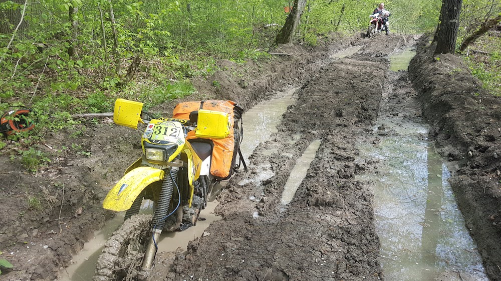 3Y5mSDcyNprTAJL-hOGjFPxuqNRBgbuDfc86RJgA9uA_CkP2b1cWKS-7CsH6RZKgqv29dy12eMuxkE1Vcok=s1000