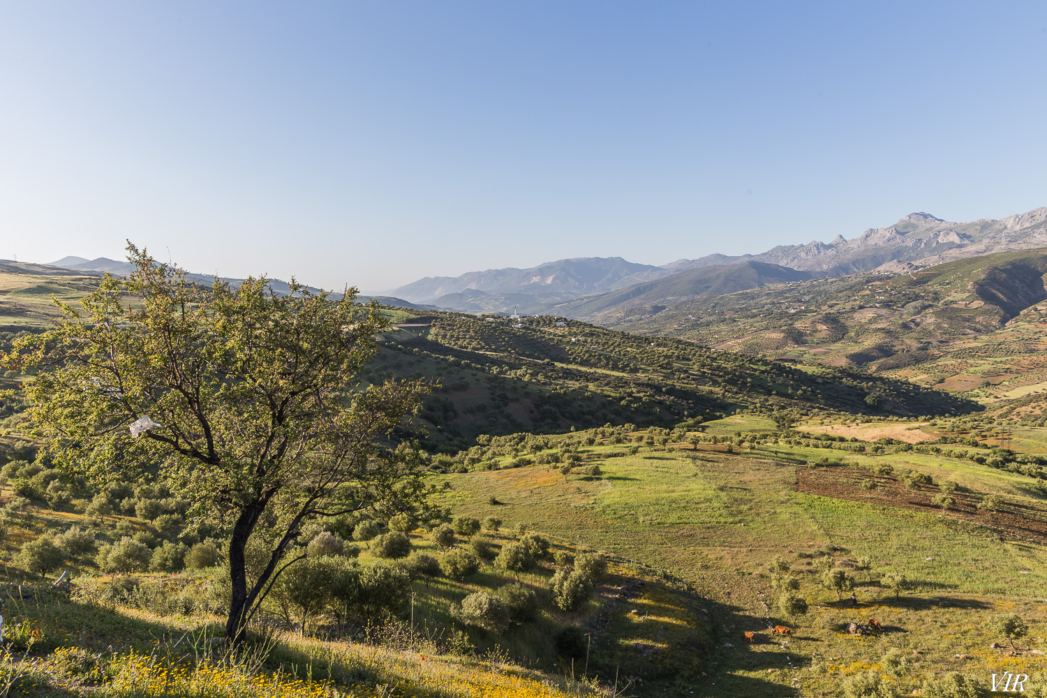 7QRVuHZ8fWgg0oVhEJYm4ckQzEVD3yPmB8sOAvjz0J2tJRy5hNf-Vff2c0lYgI9hB7PiIPGaHA8hzzqWgxTCshRYmcGxk0ofOSn--HeWavsVlGYCLA2VvmhcHVHTjh7SqcuR_iXE41zDJEwJ95wRuFoiMHGtYl0QLktvPu7EmDRWvQBE_L3WgSMbk9wkdvz1eKoAt3OVhE0kQ3_EJOrVBR5QBy38tWa95aQp-q24P_rrUHjQDE4wOMpYK7YOo64xMLO7-oqUtQTAnX6SMfZNu150xAdOeGMGiyXqkP-7vPeiwv6nZ7keXuzwYWYlnhkhtL_OM2EWEEe9G3FpNdoPu-Ttc44a77B17H2d3nnDgkpTA9H6RtbUmuBaYjzQ30PQHqW0EBUUsXT8jo9EHIUD3KbgNvF0ILTV2JJxBSwuw_0a907hN4btbFA1GqiZ5BKZY-3qDaO97ogLIV-DbxQCyVaP5S9_R8uWW_jNn1iAs4vsIrPQQehQOuJDeuZYEE1Wzlw5YXbKVqCdMv_x2t-ZYweiVYCDsXBJlVH8vhmSaQJBhc6NZhLnrnqS9k-abM3El2ps0sSMxgnorE1euySRlpJR7J5xi-r5b9uepSCYGRRHsEXky91ZhBLjz561SUzPXeM7n4by8R6Ki3JtpzIxnWE9tWMcrS5TY1mGruhHAWY=w1500-h1000-no