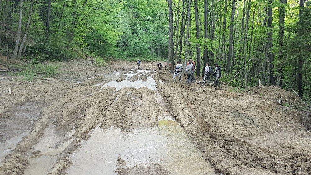 C568e1ge3qIYEZ_fsjf_FM4zwPjz4uaGT3YpHV5IqBBGzTX8ydvFjnzN0YOMyiLmZA84F6pMPBELASgxdtM=s1000