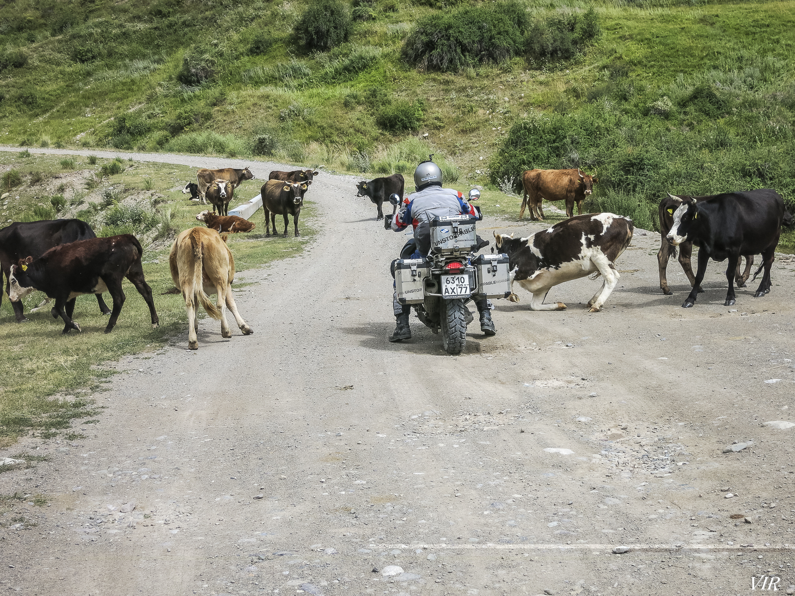 CImvOWmHpORIE1HtUm-UnsAPbN0BRaq42edGw7vzUXlQXwcNb5qJqzvV3L14yjP0Fr4RrfqX7fGmORF_olIqiHMmfAToZkNM87HemWZ5ijaGljOQE1l64y7vm0yVLK16mcvGU_4a37wwIMNfNdoksuEAezpVZxHKFuw_pNOER8EILtAJcfaRQgzZf5Ms0YBHlcLI_SZDaCA0wQMFB00F6ux5Z2Gui7YQYGg63QYed_nV8tXTP08WDYGgE5Ok-CbzqvA0dM59s6AjhtRFinucur8Dfcgxv3ruZ-S9_EOtvoLEPl70WsUoOdFP836HualIVuiowRsdRzyEuAVu5asZmgEE87c3h6y_eRgkj5gL7_Mj6l4SmO-jJOBwkiNV2qGwYdGLvce_Pfny3qfrIxUZtPx9zqqZVMPirFuU84x3Pg4gnC-5756roTbBVdEEbz-o3Qz-qqwNJP_T_xLHXCRGIBVMTuMLjsLD1oEjjK0y2gnGoCSnKAwZBKkH0KycoXAQbaPnvBhJbw5aO2as7s1e3AQshd_usFFqWJe5xYjYp9A1-dAzmjXq3pacGhspn-iOffGt0_My9q3icyIdBAVwjsJvWvcl_de-sVbylc2_NEZRXBIEzg=w1600-h1200-no