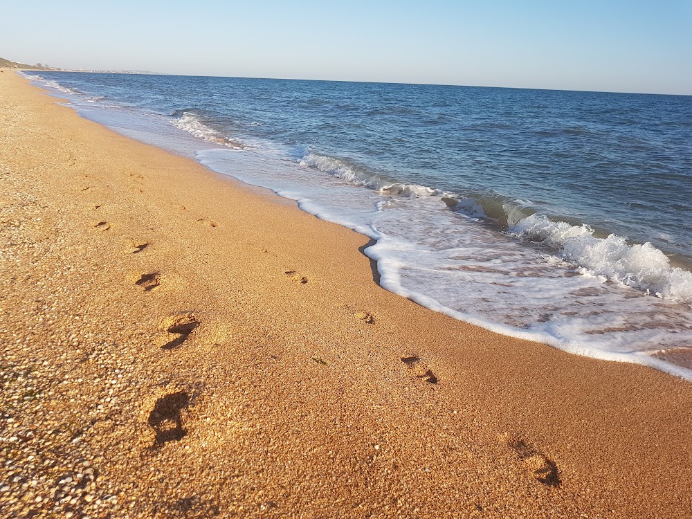 CVFRM4SUR28-pybG2OFDe-6ZeKNoL9W7wkQAjJp3UMRqiWf-kHsoj6L9pS0mC4W5KGGOGAZkC_-zqcUa78M=s1000