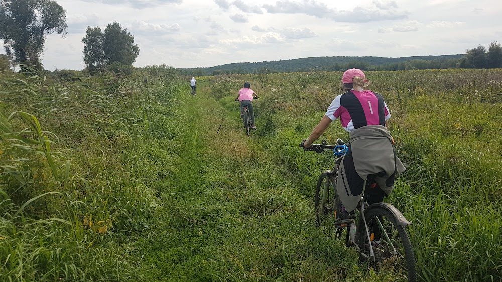 DBRUwAQPuv0NPpdhcCkELPue13_zYRT_jb0GyAp6j0Cix8xKrtHfuYtpGsz2YGtMU5Y-FS16GAG1lqkpTPc=s1000