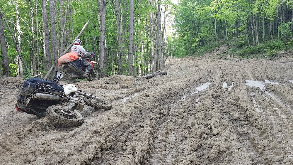 IUXHxLxYdpPnahfp-JMJ03TMMds6cfi-JNXjh_GvYNDpJbND6Ojwvjh_qsI7di49YhmRlDEOsXU8ZRSavKM=s1000