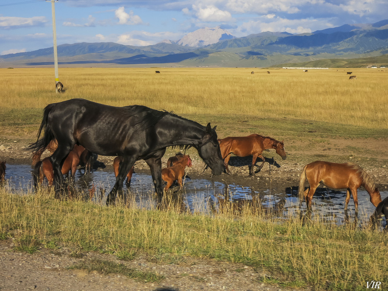 NZEQYRB7wQyPj5cp0hf0dRw3Hp_hmOrVbN8Wh03nGGSuc1ZEIvpucoRVOHU43T9cI_5_9x_1Z-RoEHxh8kKWk6LSK_ttwdQ1KqshTY19bA5Sf2c_YjV9rIYvtKh7wcTwZoiOjDS1S2sV6fjFwdHzcPOsC4yOmWyBsE5GFCVhakjTDqxoC8NaajkHJnRJShUOLY8td6mHcOKhEdETzmCsvSLLDOiIxn0bvyTcZxY22IPS7CVml-xD3gJatpXUldnBUvyrJ2QdHYvTSj_l0JJRovhwQjdqD5ndmVeSoL_RihmNZD7F5tkIbFX4VfOMHpOFZGbevJ56XowdRWLBrPN0iDr8Ro7ufPdtWZVlH9lAIU2q1Z7J_kKx6FC-VlBG6Tl7SGGqLyM3h9tszf9K71unogygIXAffIhAzs_Doii5oyxbFNMhbQKnSoBK6Xe4IUXxVpSis986OWXpva1ZgjNsoSgjg26uW0_haSI3dmNkFQKXsCOi2yBBMIpLEGkvj2OXWWwNaKHauT28eNcDEC3zbv7tqdyNJLk5cTrqi57Iv12JmKKHvGuROmdbjtv731IPlID0ce6bwkB0LUv1X9dPyhNH51LfOxtOlsn4TiK6HF7r7k5bkA=w1600-h1200-no