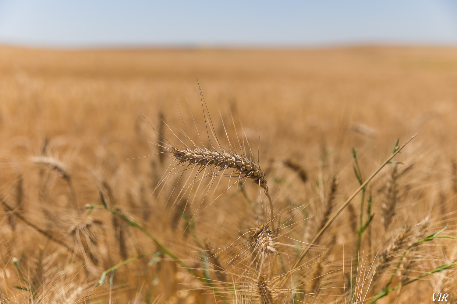 Y37tmpdUZ2RsF9x3818vcxiFGx7_VsgPecd7KU-nFGX7UwLkr8dPplkn1wDCDNZpwEMoZN3_OoT3937rkmL_RCblwzSbr2ZYehTpV-M7zey-qw_OVcYw8j_xGDfjEC2ppTOOpWIpuweupr07ivTZEKGW9msNUbpsVG9TKv4w2RVcjl0bsNxmb3kmn1kTzcU8okYPtBYrH96rc6AO458_ZeKJ8UuXG0egtsHP1pbn_c4sXw5VU58RsT3lJ6DjisYnP8qGpyviSaoBjmbtzPveoCThuwLL1GvZue1B6zCxqAXJDcc3987SJ9KZlOX955ZpqU1ssOdlKGl1u2Ga3XGvElPskrgRdAzd46pgl9KYTfmejYTUrYRMc4W8ZPKSRqHTQC41uZuKfHDatkCnHdtH5dJlCAQByjrUYU7SaGyqzlLtzs084vQGq7rhyyrAvV2KcpQHStxsUEXV0pFYPWJQvlMOgd2kwOycIOmoZwkyR_z_abVhQTe4ejQtUu1idinljtEaxZdtbQKWj9jecf3ilclZoC4hxMUSkT2Rfe7zxM_86TAQxcFn4vLcgJ3h1gLOjNY0ZBDl8mXxNphTQa6HjX4eCguqBtAehfGLLpsGJFOrocyjwp648k5GKOMMT1UCsKestodYckSrODo7kMpXuHIJdrlRboHMnARqCk40D_A=w1500-h1000-no