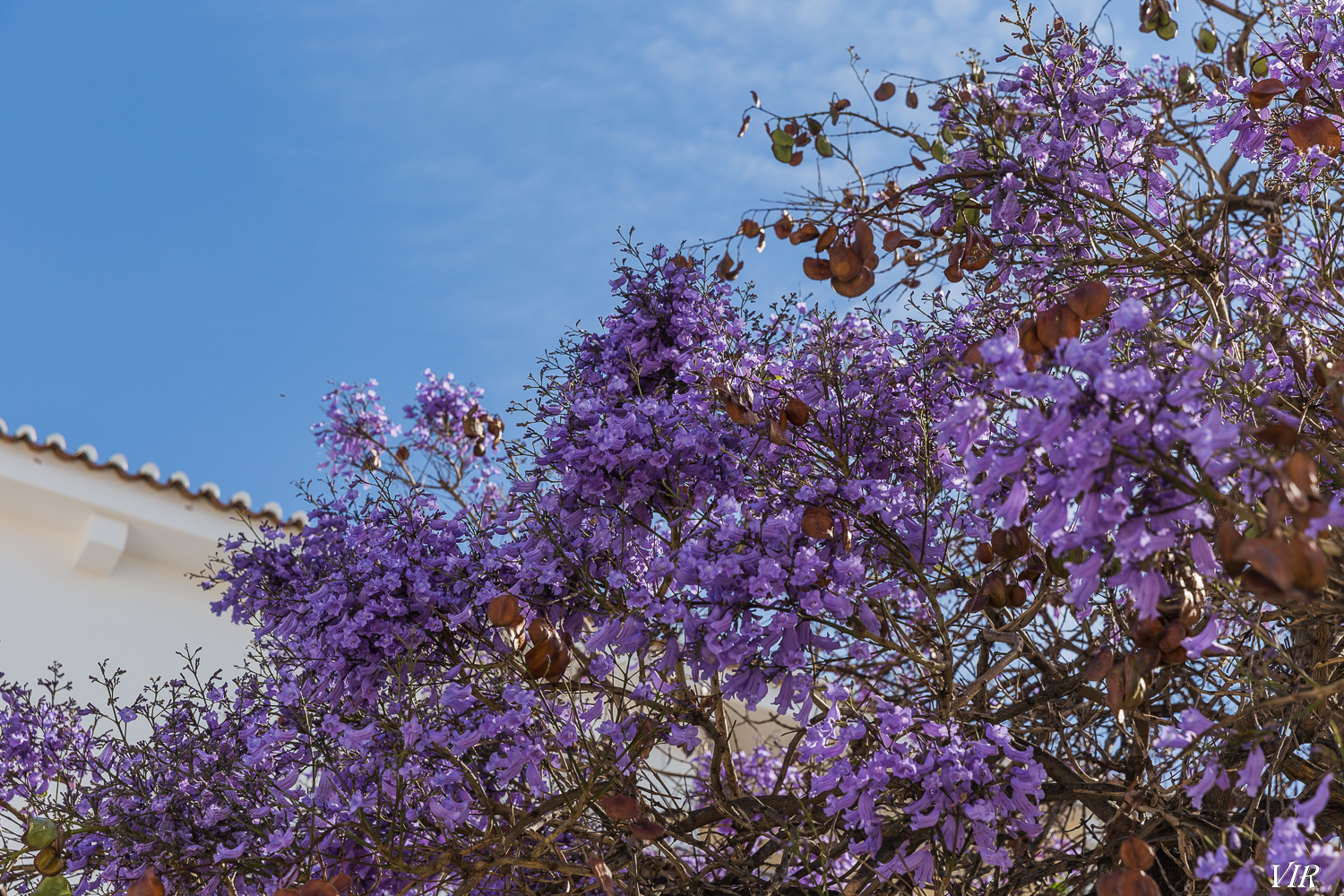 YcXqfGY8wMkQ5E8sic22mizCZpj5hDSQHFVnSjwHEEnmTn5LXWp_RncGhitlfhoKMtN8wnwN5ACoxXzlCVGuZPSCRxGDS7u_GTDwvr2ZkEUiTPPnFVTzwX9IhhdPh9oGDepY0lefT_tsH3rqzr1tzKF0NoBgwiw2GOU5F_VkbF_8Hcxiz-668ywFCWRCUzvDUBB7aIuSNlAY6dkK4L_02w0ttUBJMaxW9ocnvoJuYJ8Da8mwnKZ_2o0vmyBlfOtRg_TkTWOuzN9zuG_53a9xolXseX3_H6XYBCC9IhK7Rt7e2MfST97silalZH37xXm0kT6AyWZ9jDNA4GVysPIDUMM529jHoMq6itVBtO7fvPz5angoKnEj2sMRwLVjc_c6LjYvntA0NPxIAxB5DSTGU1aox6mGlw6n2EYwqV888KA1Y6cExwqFkKwMU-P_yubQRNrisKFOH1d-TtR49K7vUIl-OVX2clmxBSzxI6-Ge-bOVcbbJRVRoGWwW3M5YiFbyTO7336YtXYEQHXpXUSMNmYPwnlc3_F2vQFqLGn4vLeu_yKl4tBt4xoCu8LYldXkxWbWEYGsHVH4iQZ8K0KdQEwHAOwN3cHFePnP6t66GgDqUNZcoPuJfbEEtXulDZk9snyg2WH3fIgKHYbyUAy-XtW4rbyEdM309kIglv3F4do=w1500-h1000-no