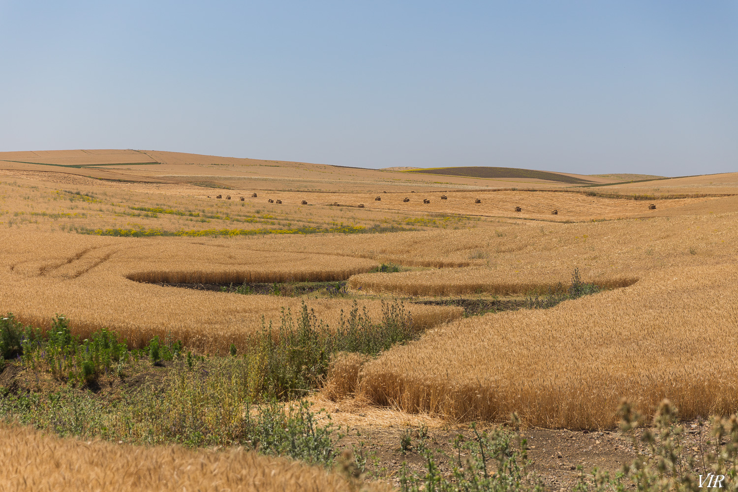 ecamt_3RHukOyJ5-MEMLHCuf_OWxCHRiVHTwOWAZtHaVhyxtanBmLJAow8AEJ6jwEMUoyQus1blqNSacIFwbkTXQszM445AM6xiXPgy9PkDxIdb-hdjU93NEXVOA1PvQhWsvzxtrZgBQiVvfynFEJxsbFXwbVZYpUaFQqf2IQMn0AsVD8K3kssGLum79HEgL3CnfgbG1TyRYwKYU91_Vnn2Xn2JUu9yca_Kl12Tl3K42456rGY8NnqWfq9QPyBome9s2ctq6QOC_BNn8UjSRvvLPugE744PvO2r46KhTEDr_LLIPR2XoTiZgagYK59k3MbDYZULwV1DRv7zsSVKpwlBfr7xAOPq3VHY08GWfCzFPVNM1JvD-US60HQr1Lu5z-8VuEv5okJ_9AqfTEt2_vyePfURUI9BeLkXh2Mezqo8pPr39gi1uCeWJYYyQyJ4n_39Xrgdseat2cMehHzCUpwSD-nbMoIKCiThFeMnRnMpvLjpyKXRieOU1A_9cPTHqfunMDcVfwG6J-l9morsKcKDo-7UOLteQsUZoR56hpJr61cxms4nbpIyfXEDim19jENtaDq5afn1HaaW61C37hB_bFc2mtFMYbyL0kyGKDWCmfR1eo_z5xVYEac2PVllReLOVSfr3PBSwt6ZiY_luIIa_0Jbyvf9KsEzdNf1HvDY=w1500-h1000-no