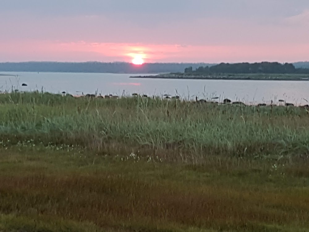 lQ-0F18lL02auVq1s-lg4VO9XeXDMGaWjlF87HpsyNqA4tG8p-sJFzl8Pp_ibvcvXgk4ZSbXdglkVVF4Hgw=s1000