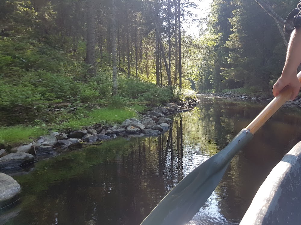 rJ9vUY79pHVsKBeW_q18J3COCYwoyLR7RpA0WEj55N6yhvjm3ciPD5C1WCVZoo52nOF4CfblwyoO5lyMmZo=s1000