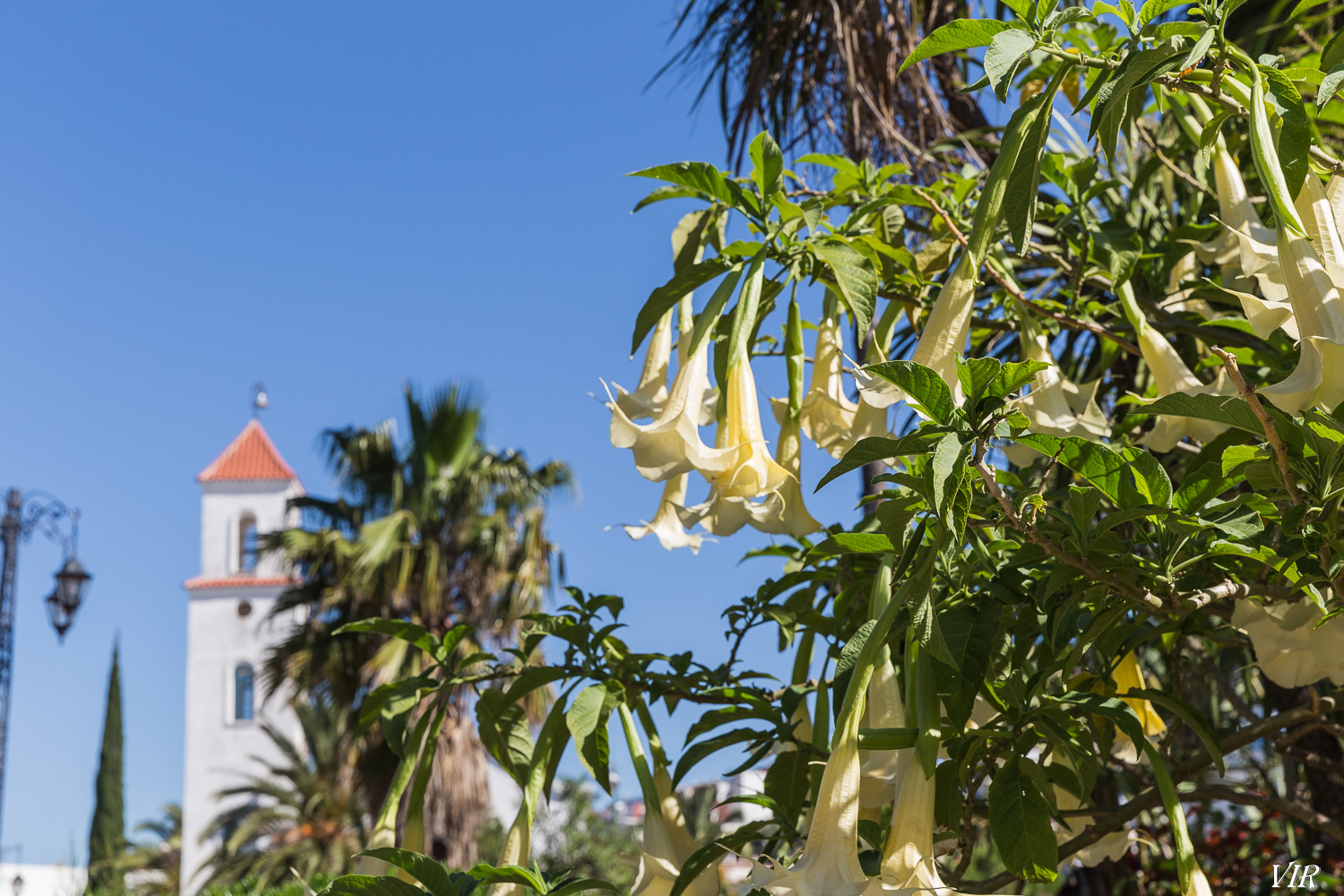 rXl5POxCEkT_2zUsGcHuRvndhKBF5g8BCs_qLZJu9IYxsmM8yjdkIgim8DVscgQy0TarC4ALh7exjpRcGreeKSnVaeeiIOcotxc63PoT-esadhfLdv6IrsuYTqvmKw3chIqx6FokTzFPWUReCGe-DGAZTaCqD0rt0x7xlbz5FyrdLdK_cNC1aSt2rQhcsyKNNNa5V3VNif_b467BvM-hLJhuyHNbZFYXGle0RzdEx0ireL8uI-s28ps0JchuP-MqP-tXfdYZbfnOqfBmhC1T-b45QIoQGAOUaltrBgr5yZfyLBJazSdx1dHciYi4eZRg639V0zGjOKIG6NnberuxRt5g8Mro5l6E7Zw76iXwuJFNSJ-66XzchZEt4XSekxPpFJgAv87C2aJ0sVjjx5OUGZyBbeIjDEekdWYoFfRUv29GO-408zsT7ZSoeyBUAZasHXxvqV8weFX3O-wI0s5m5_6nWVZOIPbJfZu5pztLveeWeSBY0TrYfBQ_jyzom68w31fa5UTHPQA9nLk0aYrQYwq1RR14uJZj5ppWENY6QP_Z90TlsU8plyMNMjBAssv28uwg4D17TzofepJ1A45TunTi7CNB3CfM29HLDU0tfwcjNzh03YnJqXef54i9qAWW-H_ljwGizAe2DdoN1PcylwIb6pwVTqORz0wB-4NtTEE=w1500-h1000-no