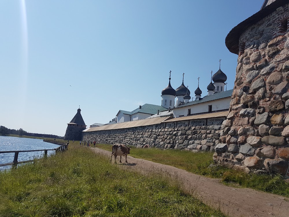 sAv_mY8VzPSPPbeXF41yJ0VEwb6t4oHWehZ9k-5BrhMGADgrMptH2__M119qMAI9cXtZzQSPsLWmO0H11Sk=s1000